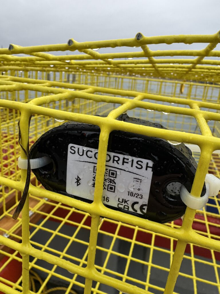 A Succorfish GIGO fishing gear tracking device