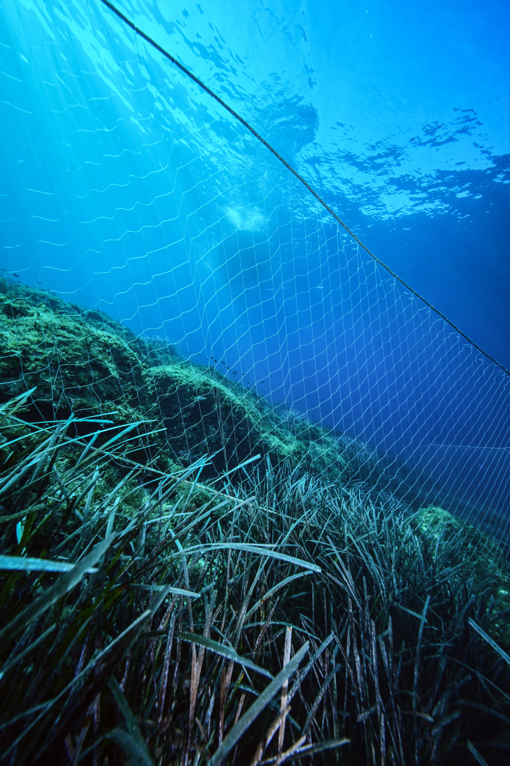 fishing net on sea bed