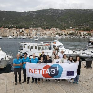 vis trial nettag team