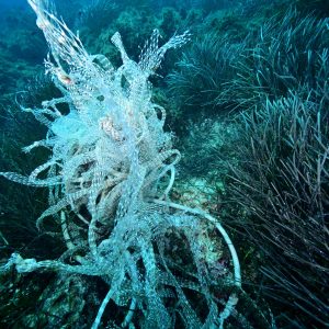 ghost-fishing-gear-plastic-at-the-bottom-of-sea-scaled