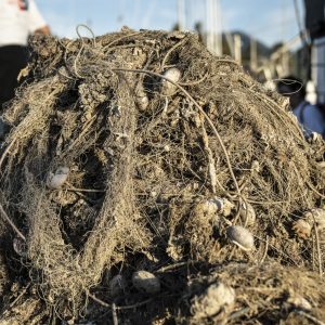 ghost-fishing-gear-that-has-been-retrieved